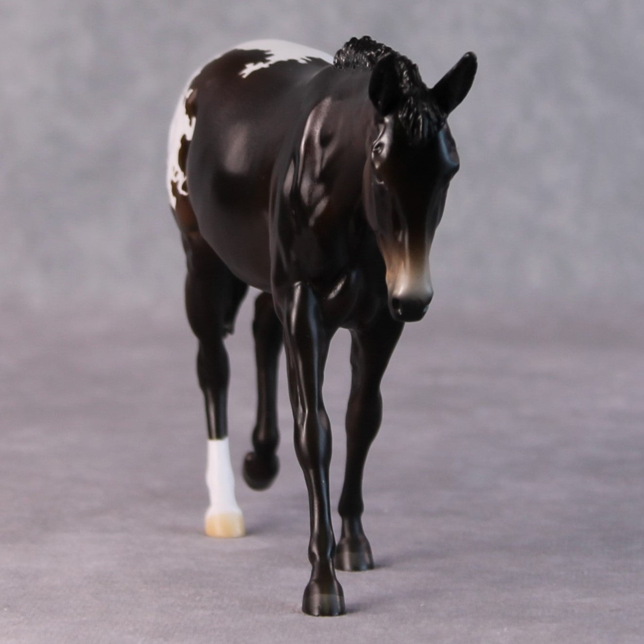 Fudge Sundae OOAK Dark Bay Appaloosa Pebble Mule  By Angela Marleau HS24
