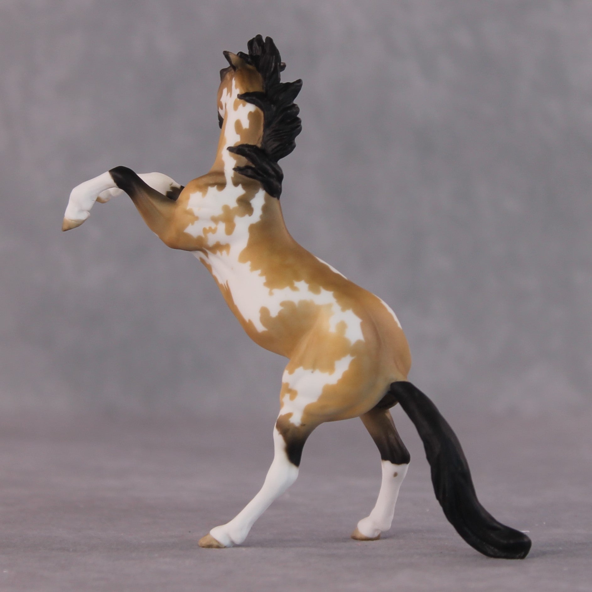 "Frenchie" OOAK Rearing Chip By Maggie Jenner-Bennett