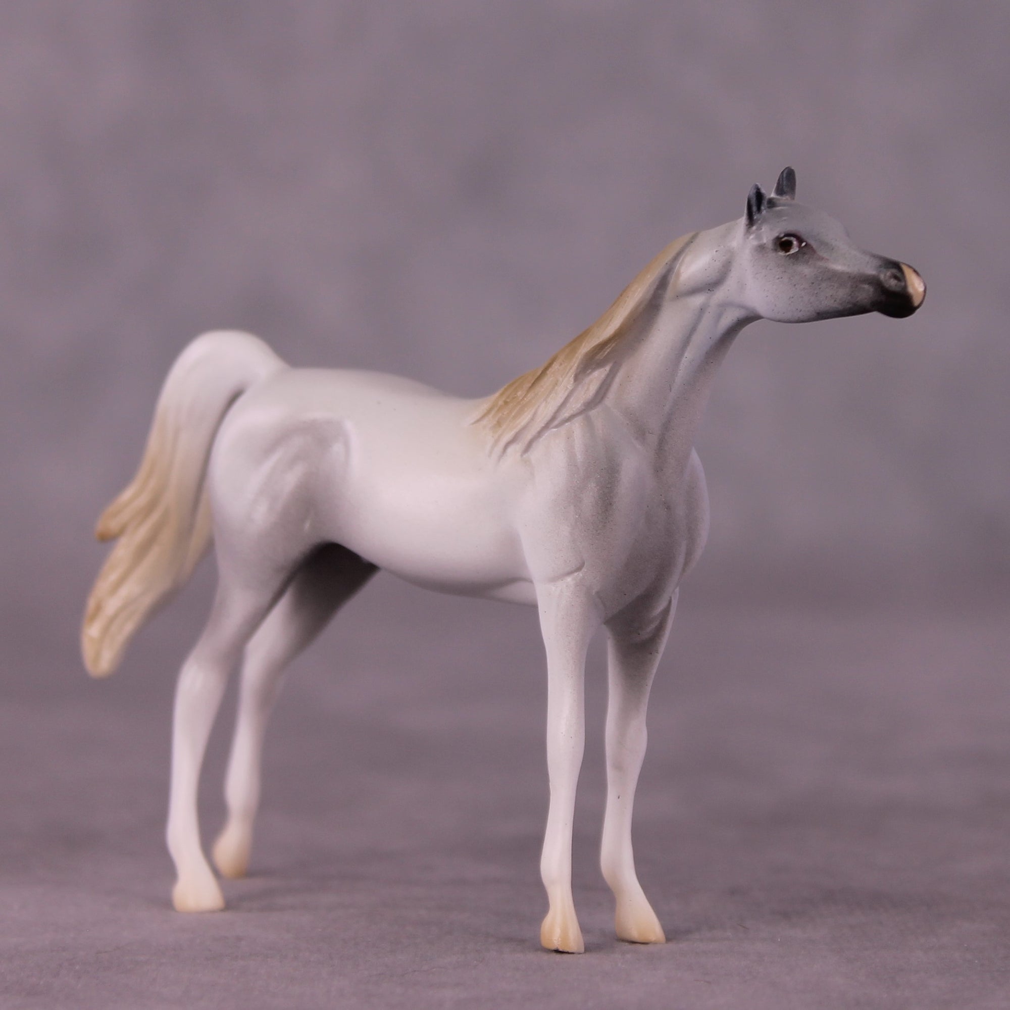 PREVIEW Art of the Horse "Elemental Chips" LE-10 Chip Sets by Anna Rieck EQ25