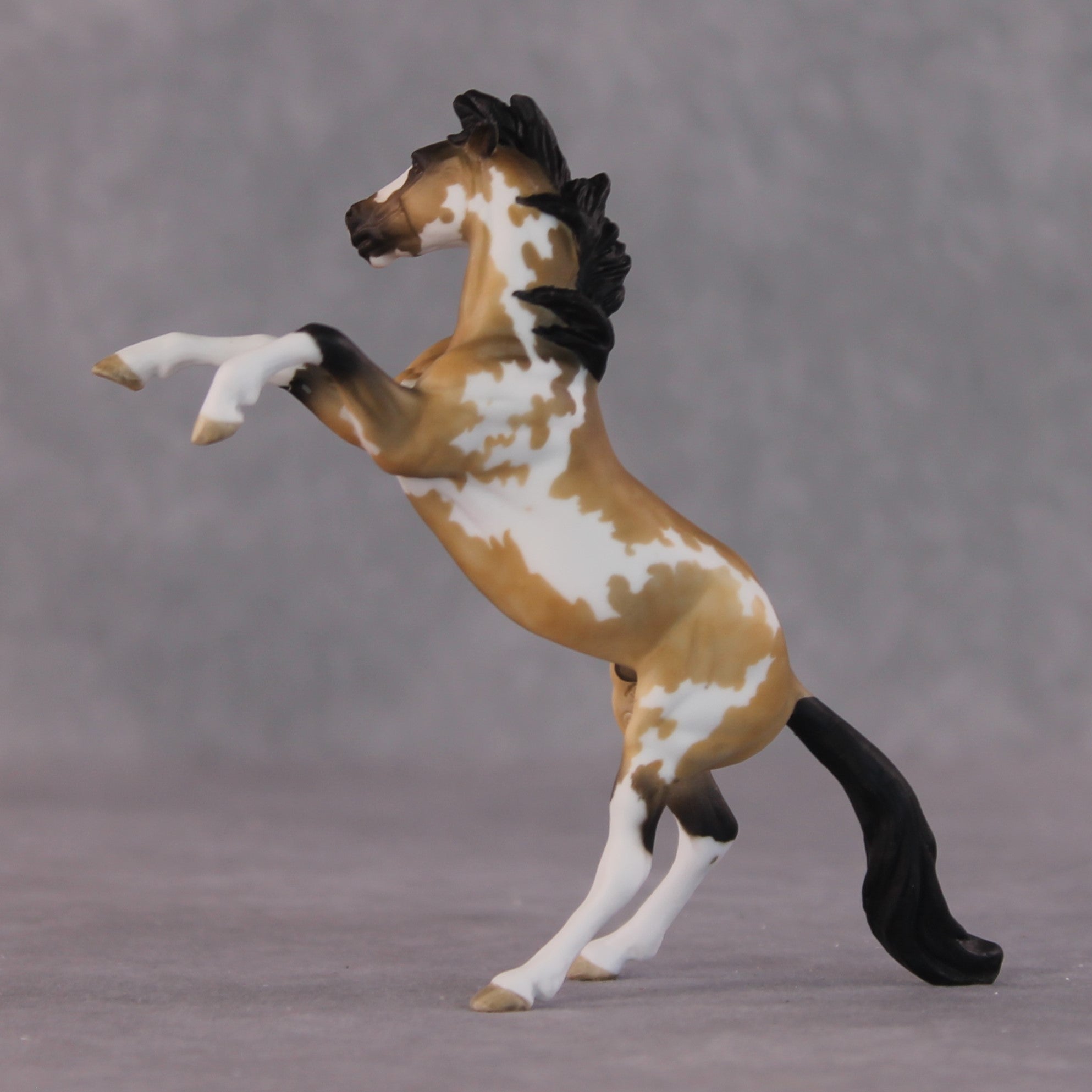 "Frenchie" OOAK Rearing Chip By Maggie Jenner-Bennett