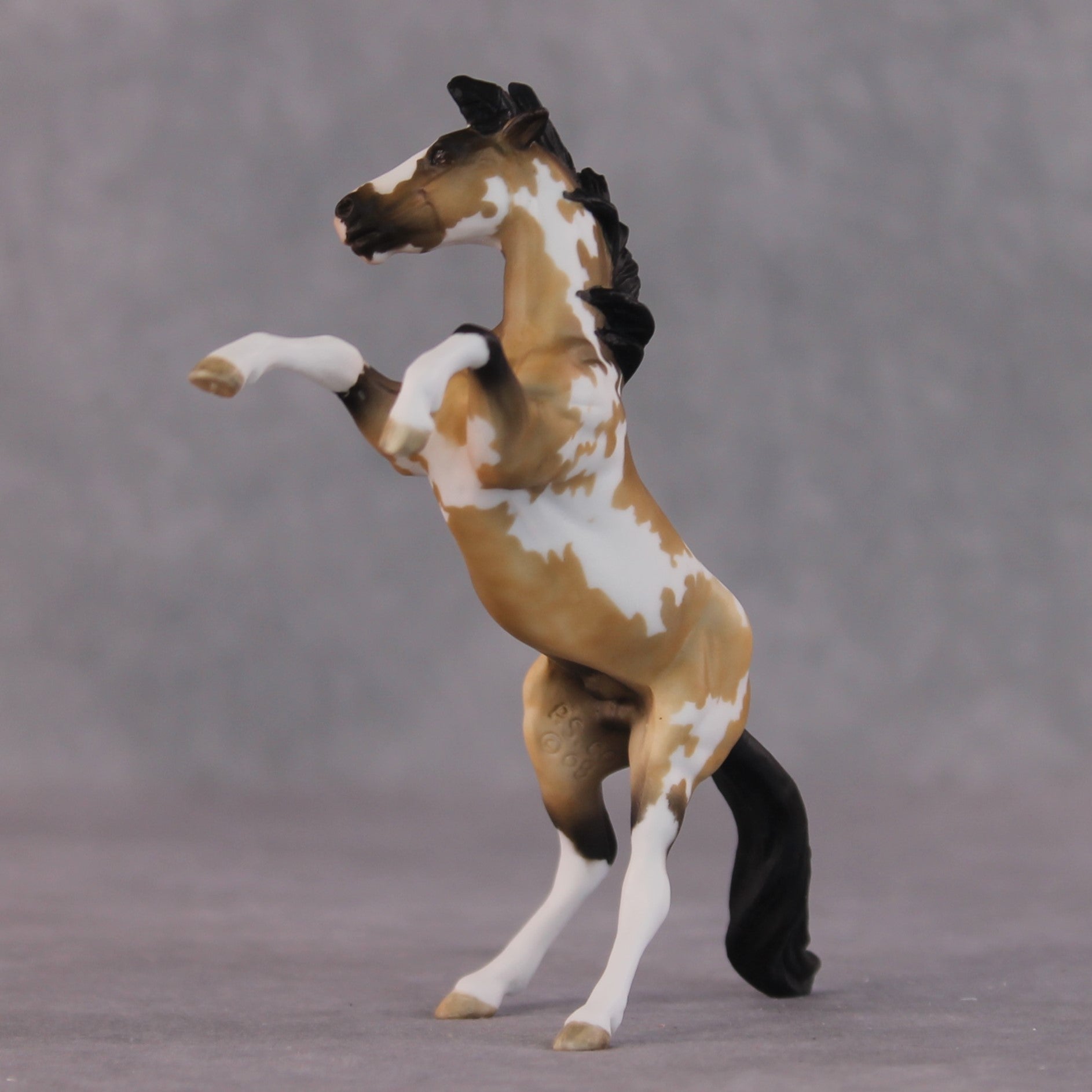 "Frenchie" OOAK Rearing Chip By Maggie Jenner-Bennett