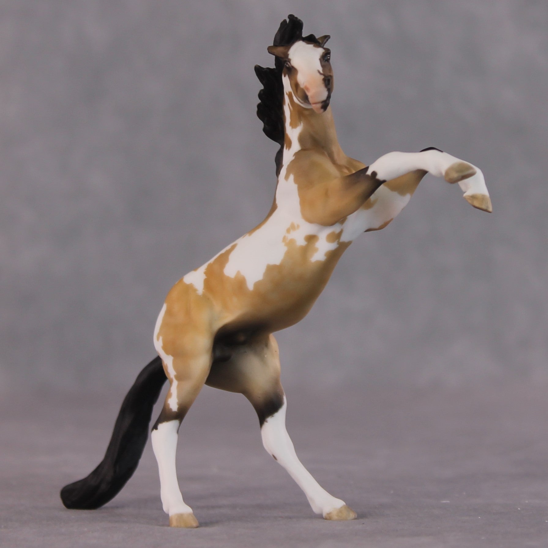 "Frenchie" OOAK Rearing Chip By Maggie Jenner-Bennett