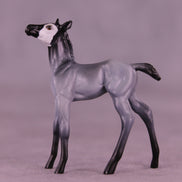 Pingu LE-3 Chip Foal by Jess Hamill MS25