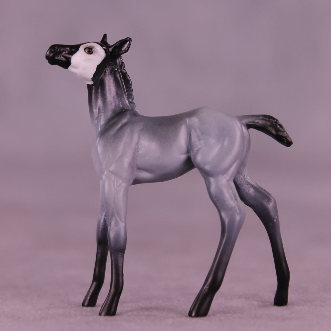 Pingu LE-3 Chip Foal by Jess Hamill MS25