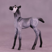 Pingu LE-3 Chip Foal by Jess Hamill MS25