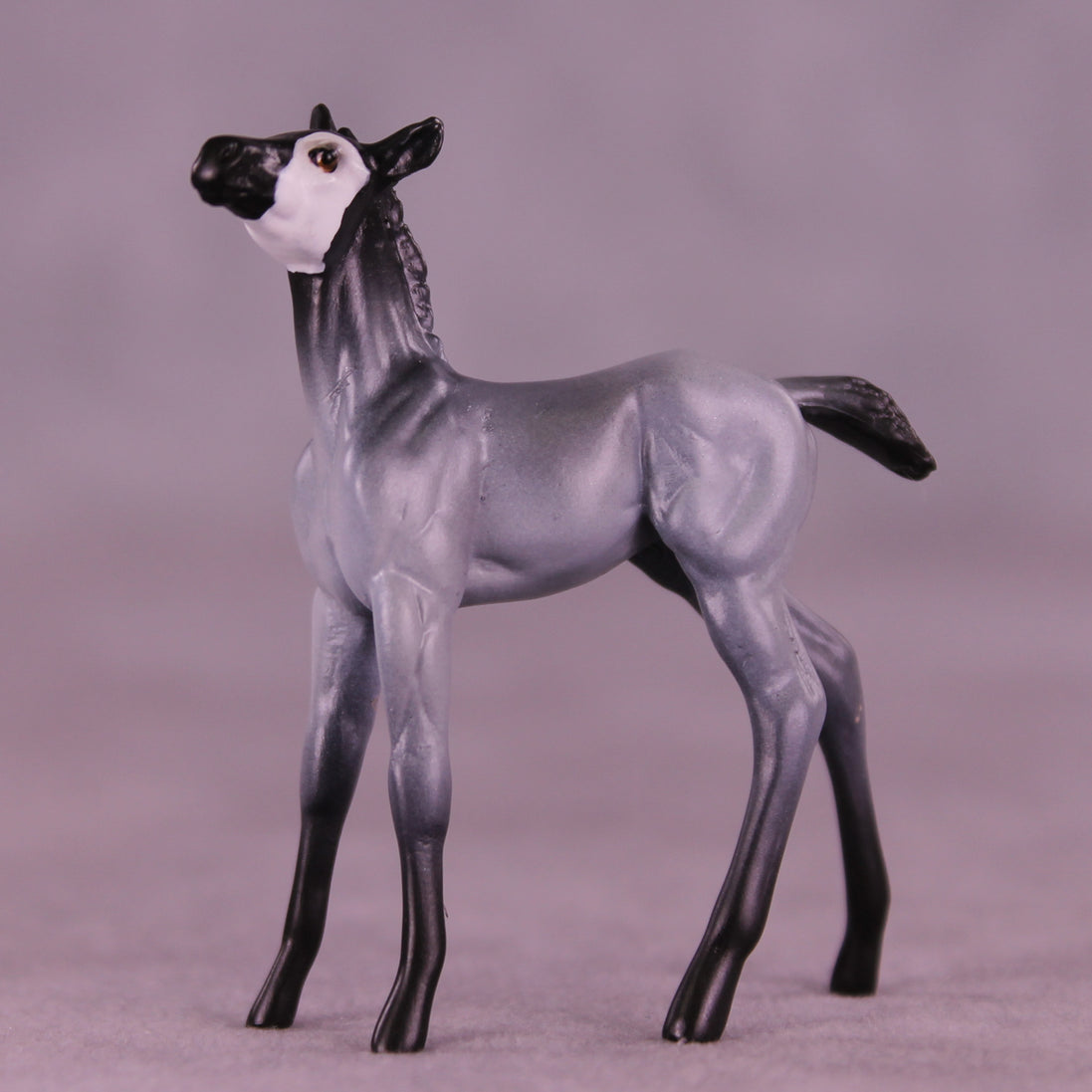 Pingu LE-3 Chip Foal by Jess Hamill MS25