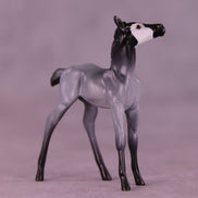 Pingu LE-3 Chip Foal by Jess Hamill MS25