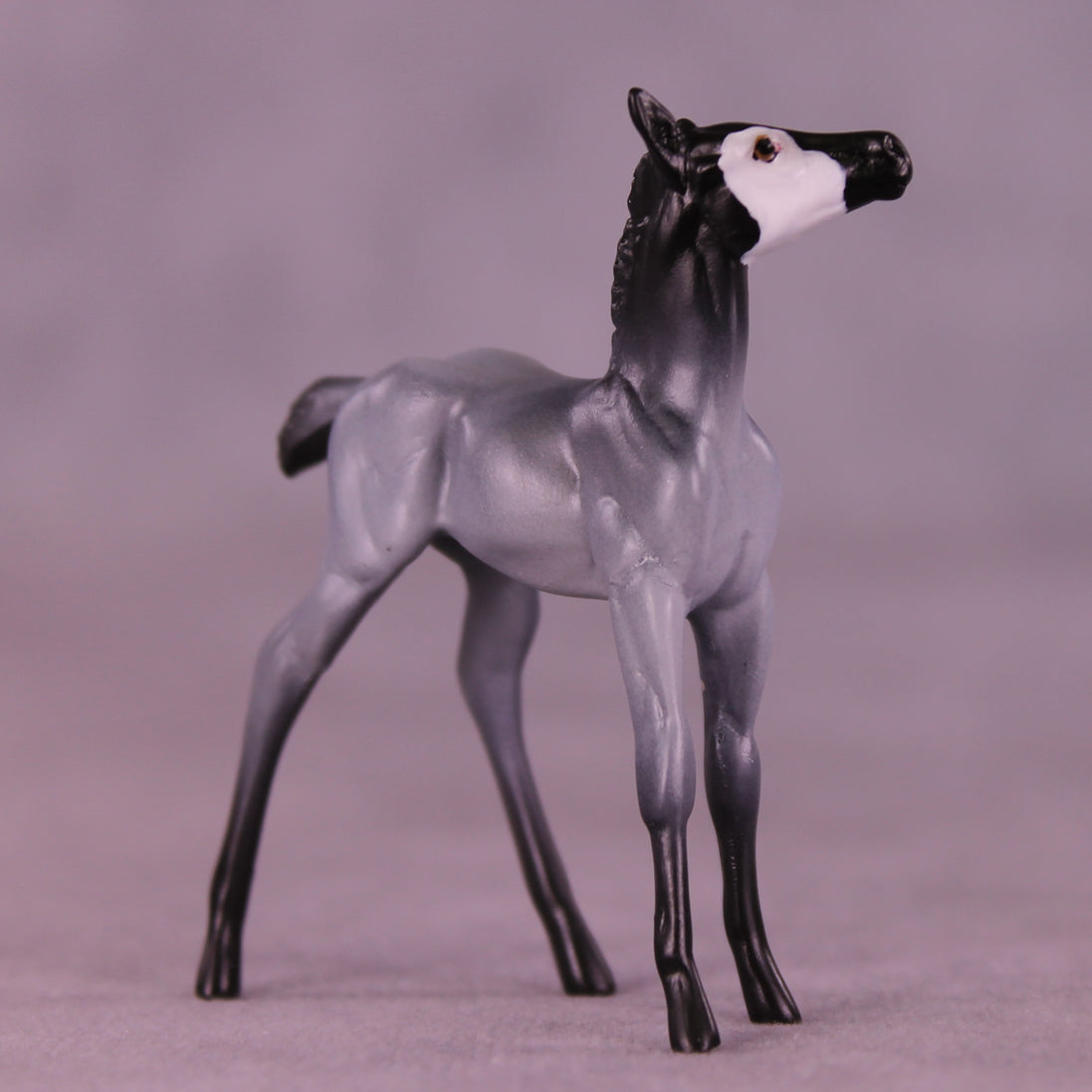 Pingu LE-3 Chip Foal by Jess Hamill MS25