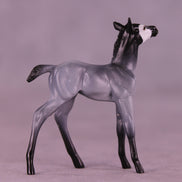 Pingu LE-3 Chip Foal by Jess Hamill MS25