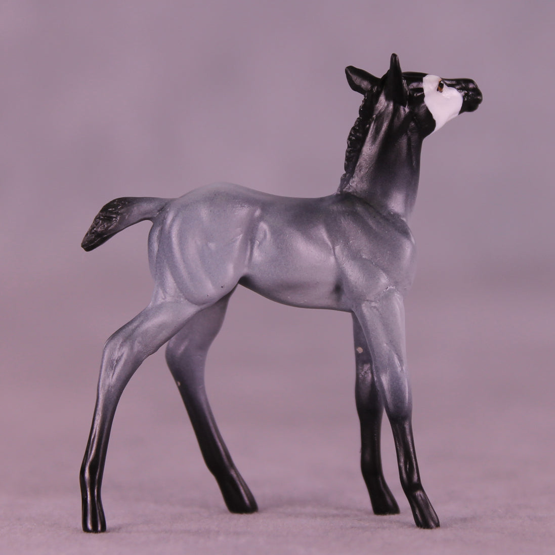 Pingu LE-3 Chip Foal by Jess Hamill MS25