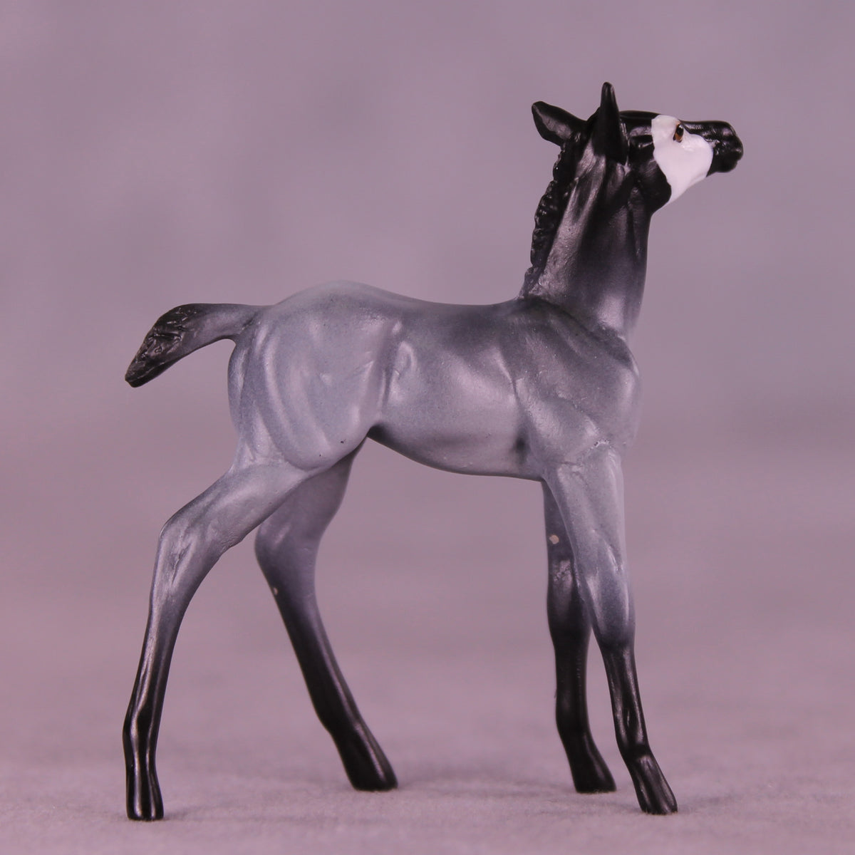 Pingu LE-3 Chip Foal by Jess Hamill MS25