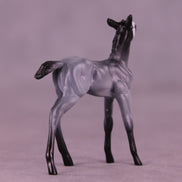 Pingu LE-3 Chip Foal by Jess Hamill MS25