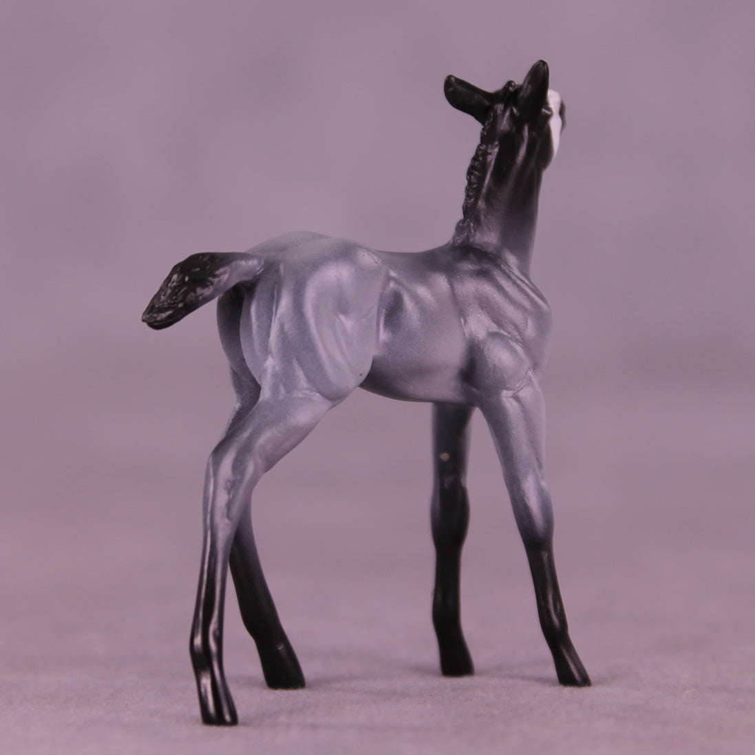 Pingu LE-3 Chip Foal by Jess Hamill MS25