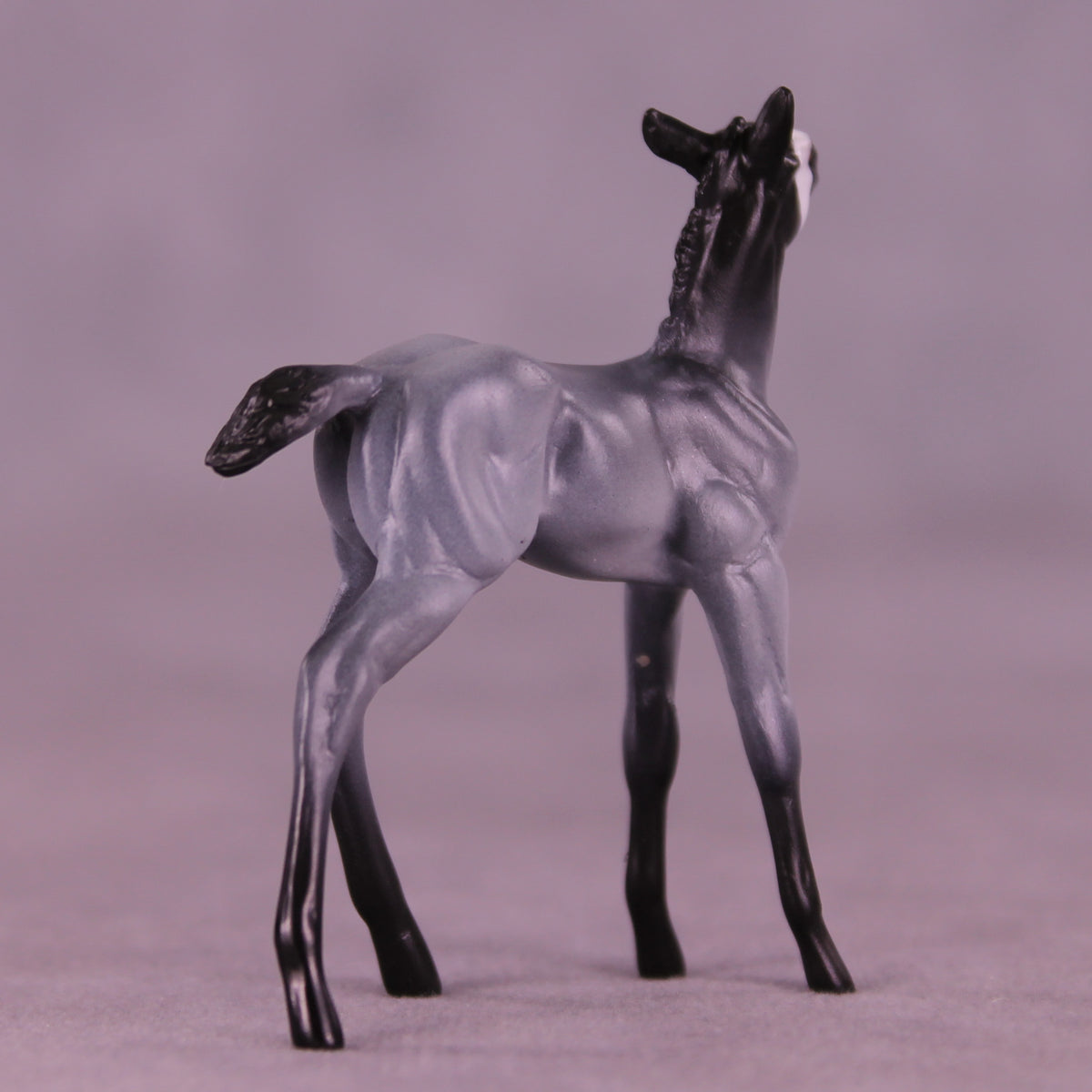 Pingu LE-3 Chip Foal by Jess Hamill MS25