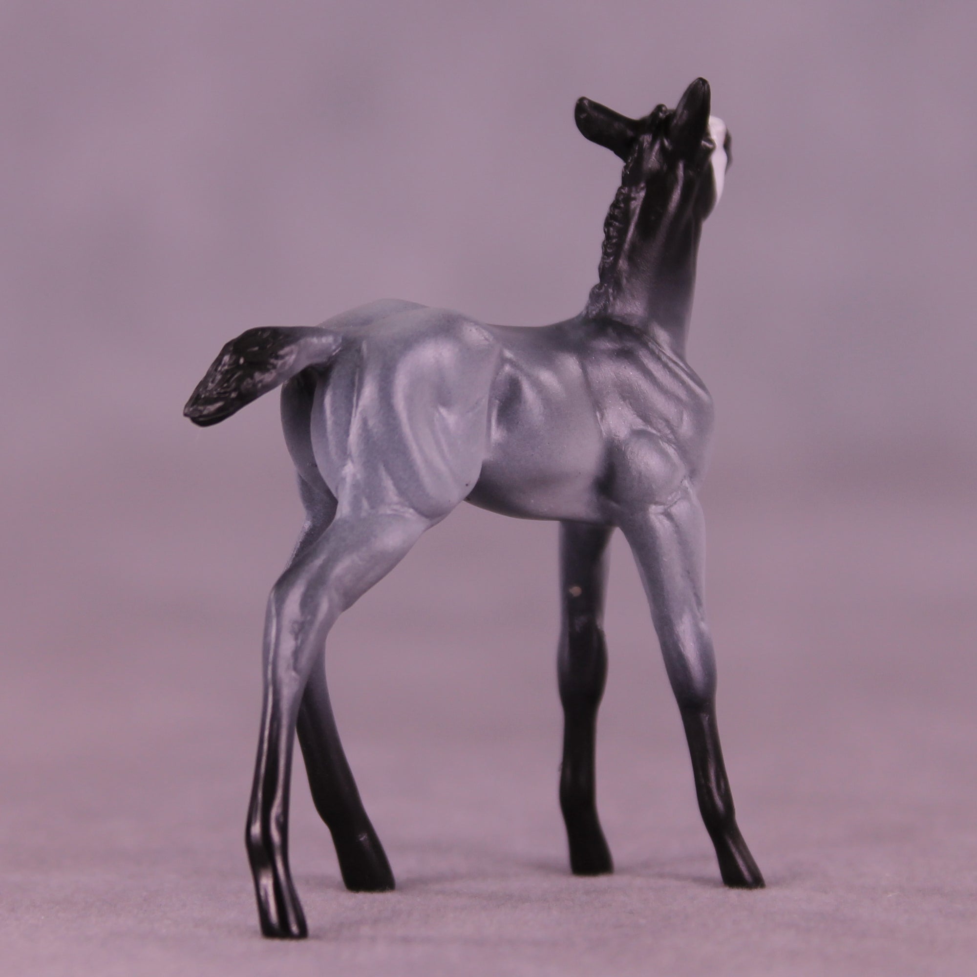 Pingu LE-3 Chip Foal by Jess Hamill MS25