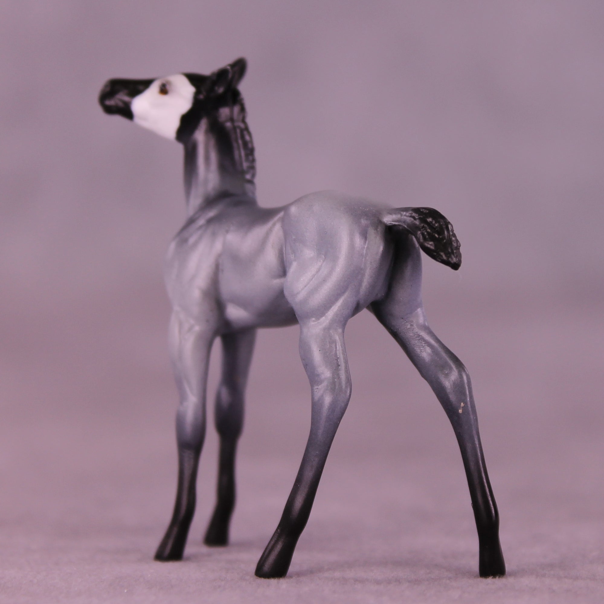 Pingu LE-3 Chip Foal by Jess Hamill MS25