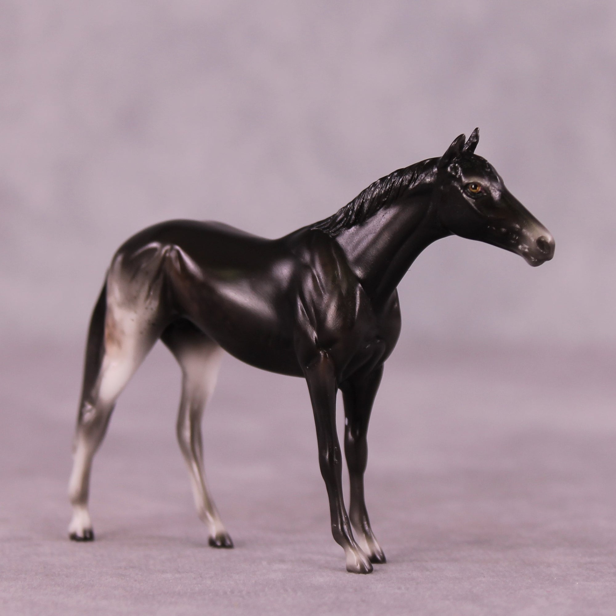 Stone Horses Midsummer Celebration Surprise Chips: The Thoroughbred Chips Grab Bags by Ellen Robbins SCD25