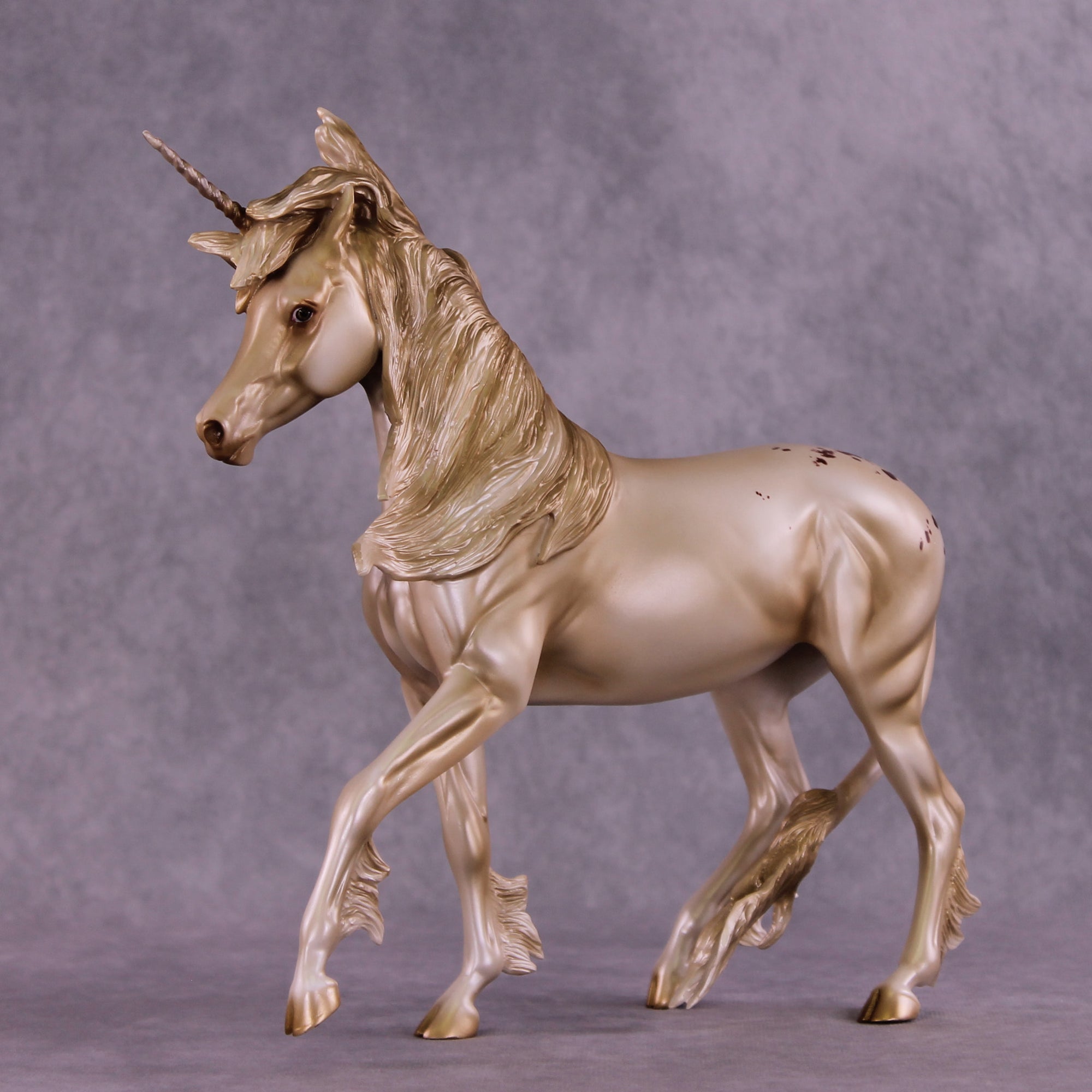 Witness Sample EFCM Arab Mare by Jess Hamill SS925