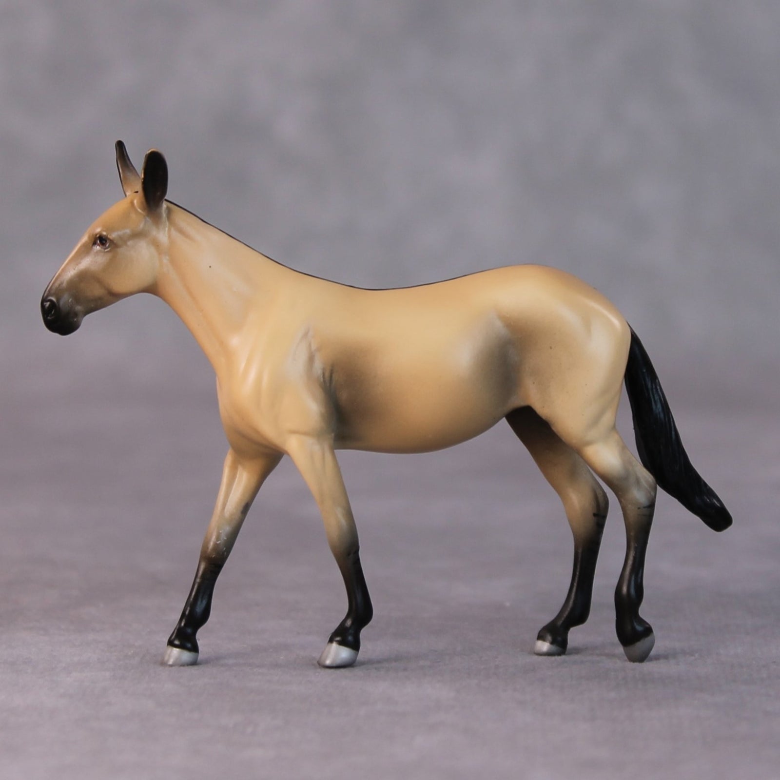 Siri OOAK Buckskin Mule Chip by Jamie Adamson HS24