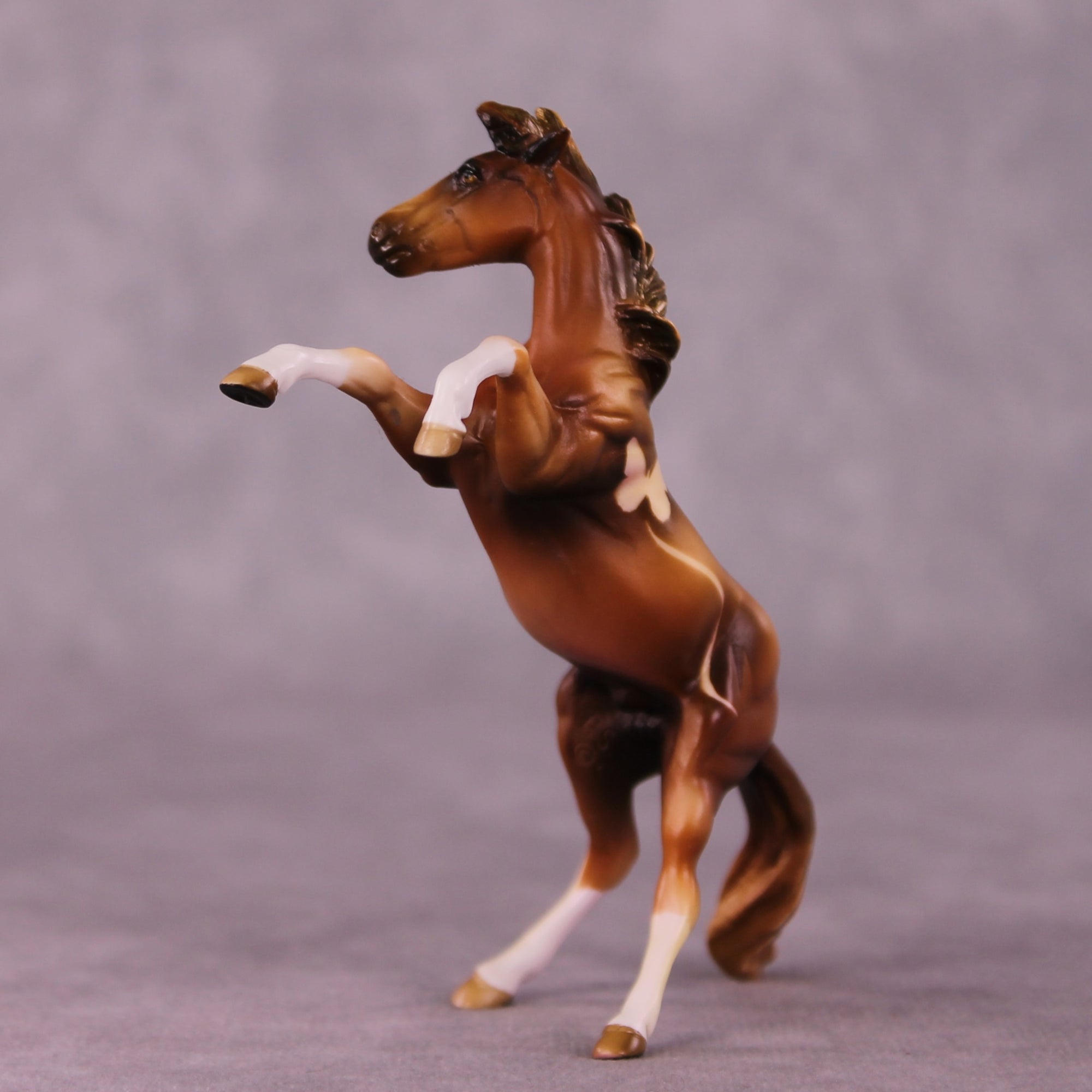 Fritillary OOAK Rearing Chip by Kike Duarte EQ25