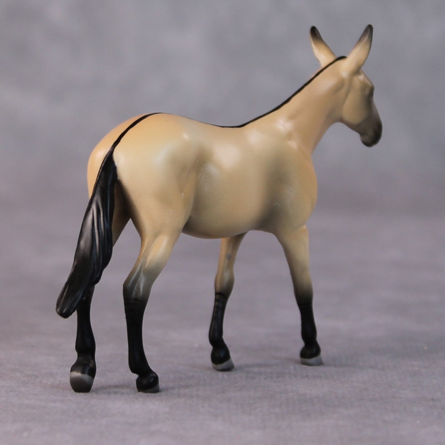 Siri OOAK Buckskin Mule Chip by Jamie Adamson HS24