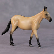 Siri OOAK Buckskin Mule Chip by Jamie Adamson HS24