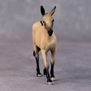 Siri OOAK Buckskin Mule Chip by Jamie Adamson HS24