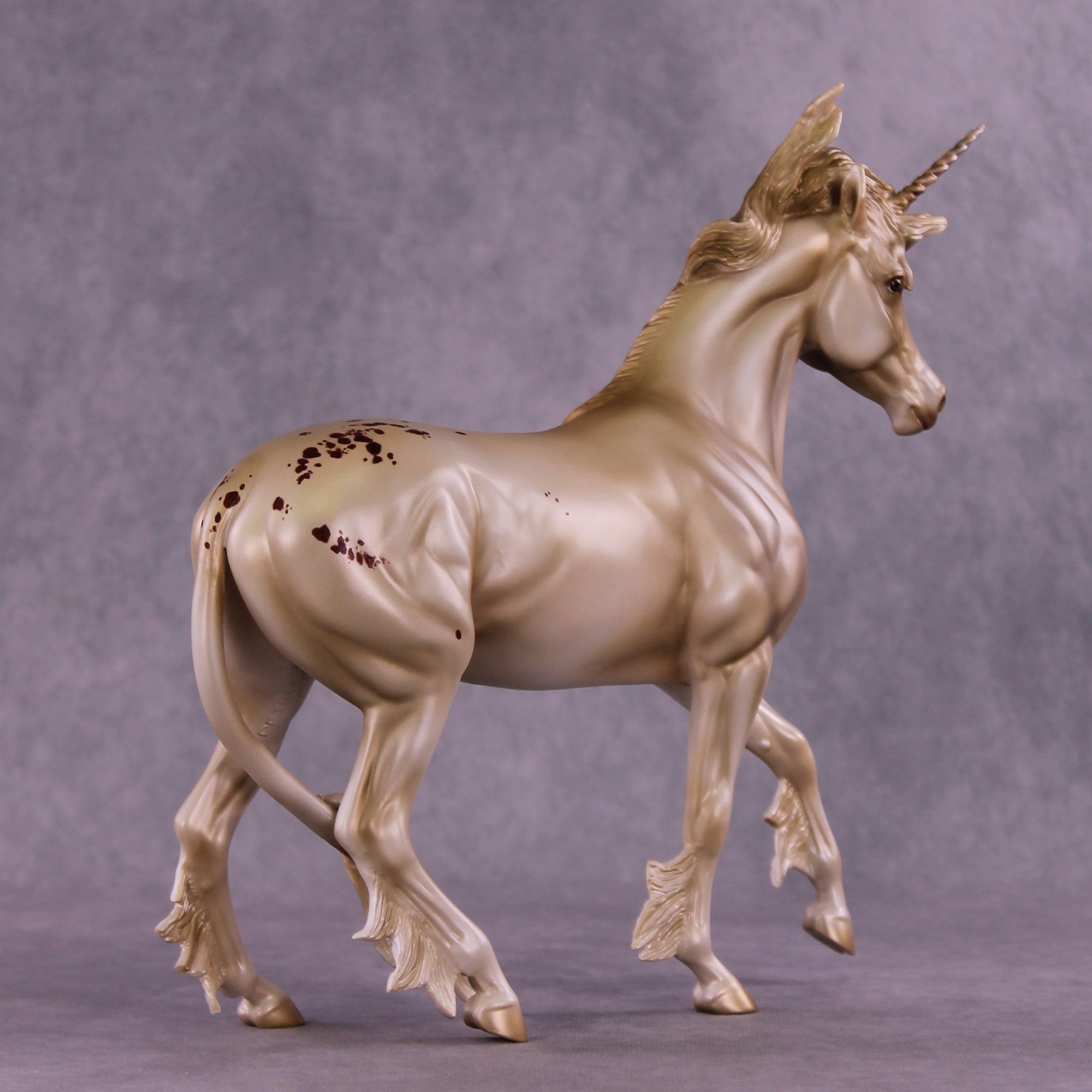 Witness Sample EFCM Arab Mare by Jess Hamill SS925