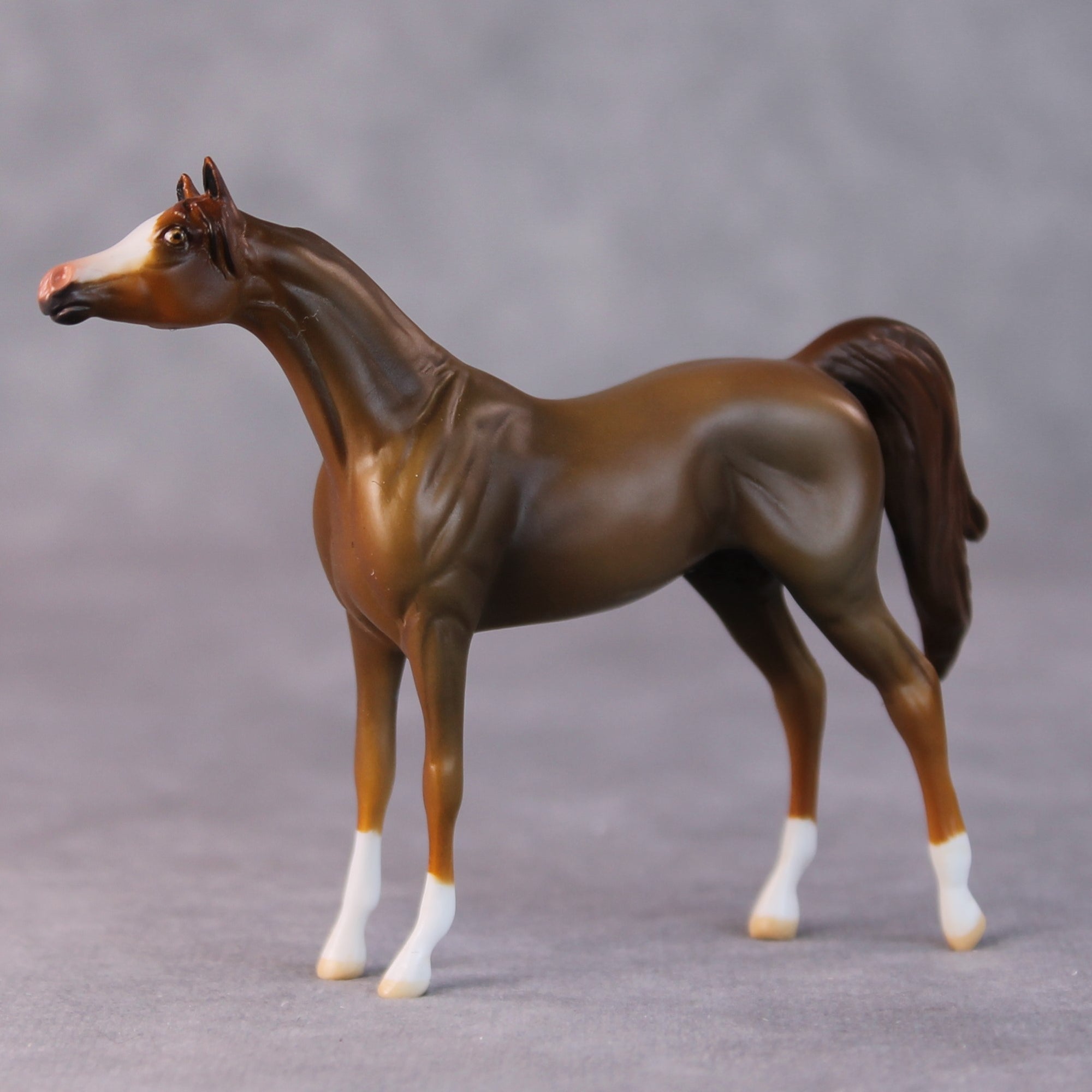 Brandon OOAK Chestnut Arabian Chip by Jamie Adamson HS24