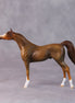Brandon OOAK Chestnut Arabian Chip by Jamie Adamson HS24