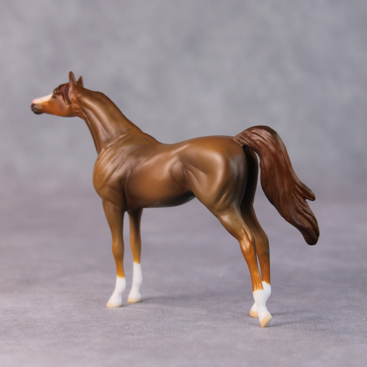 Brandon OOAK Chestnut Arabian Chip by Jamie Adamson HS24
