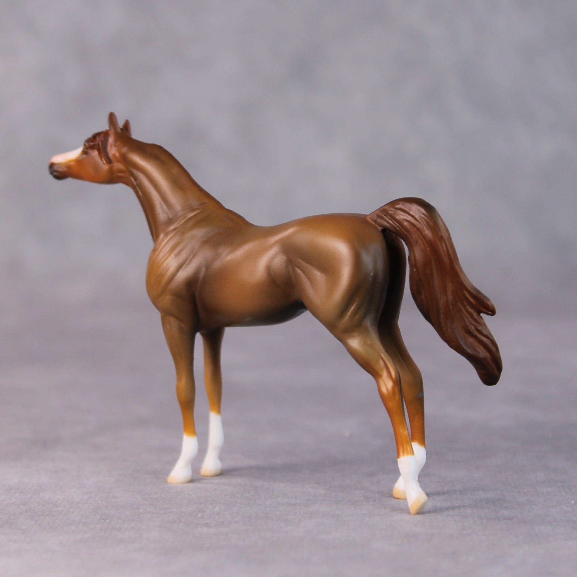 Brandon OOAK Chestnut Arabian Chip by Jamie Adamson HS24