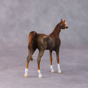 Brandon OOAK Chestnut Arabian Chip by Jamie Adamson HS24