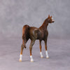 Brandon OOAK Chestnut Arabian Chip by Jamie Adamson HS24