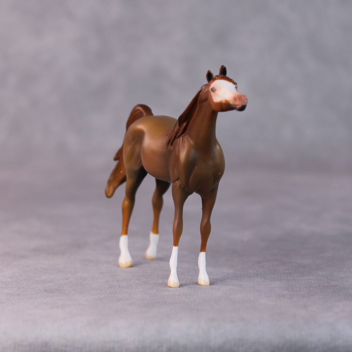 Brandon OOAK Chestnut Arabian Chip by Jamie Adamson HS24