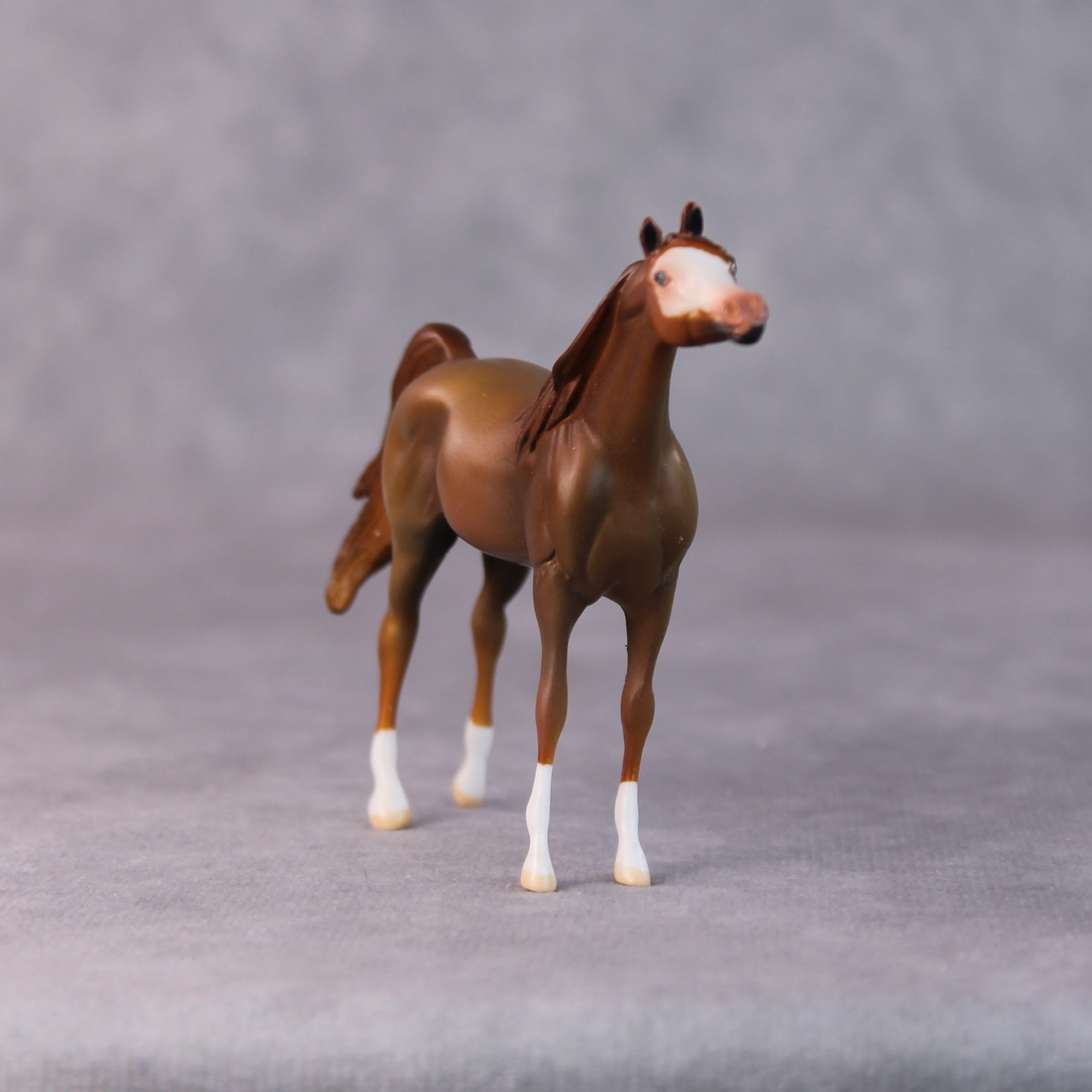 Brandon OOAK Chestnut Arabian Chip by Jamie Adamson HS24