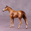 Amos OOAK Thoroughbred Chip by Kike Duarte EQ25