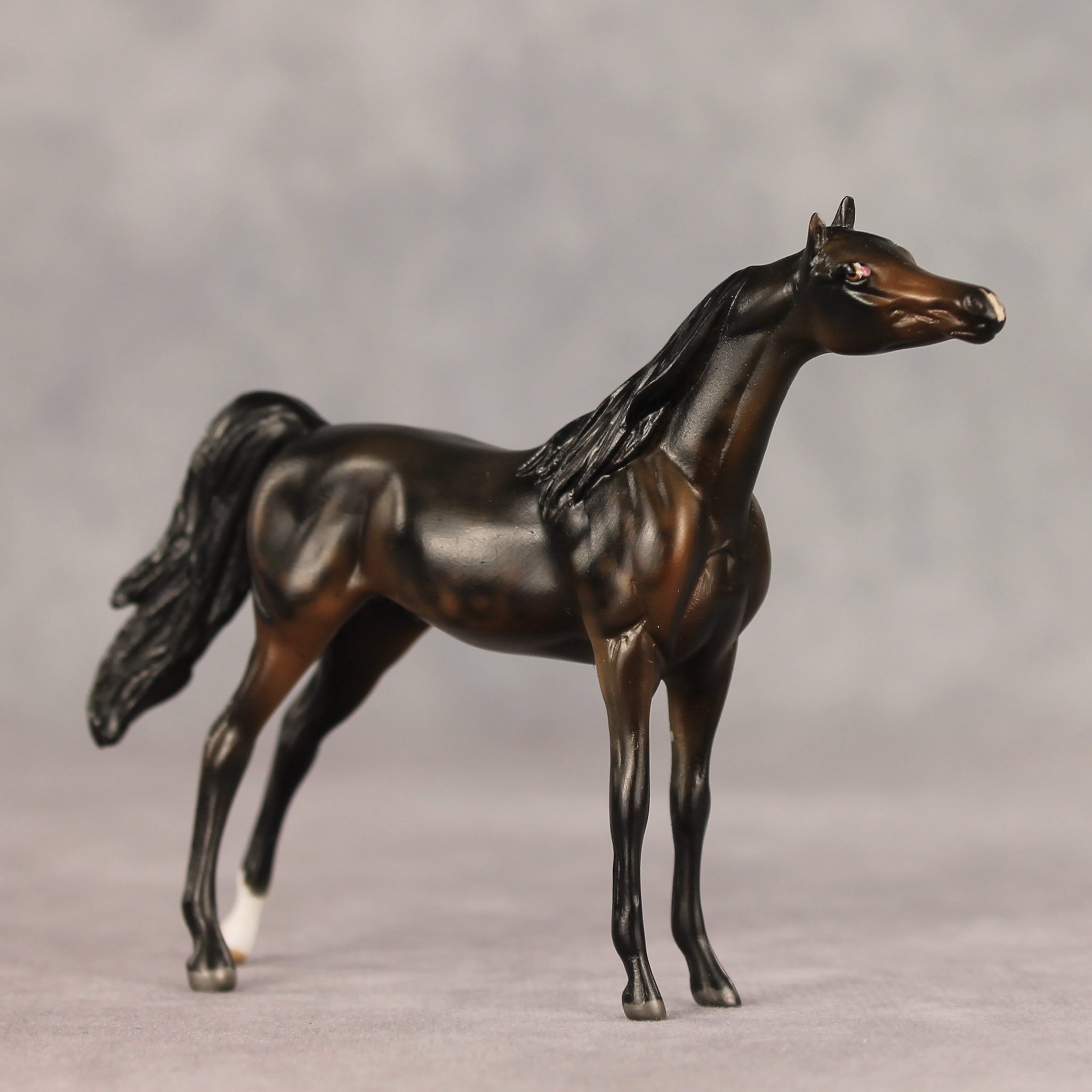 Hickory LE-5 Chip Arabian by Julie Keim May $99 Chips