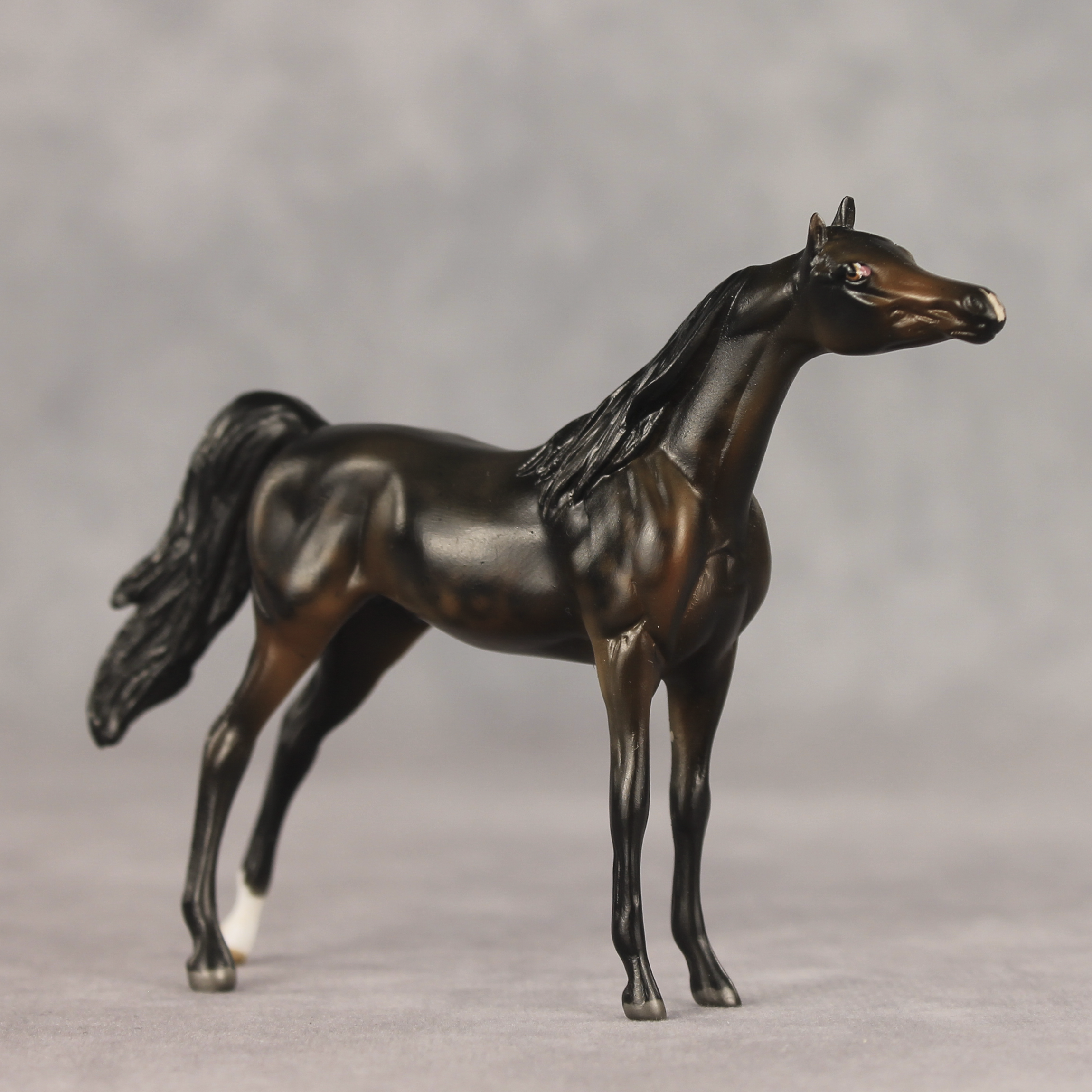 Hickory LE-5 Chip Arabian by Julie Keim May $99 Chips