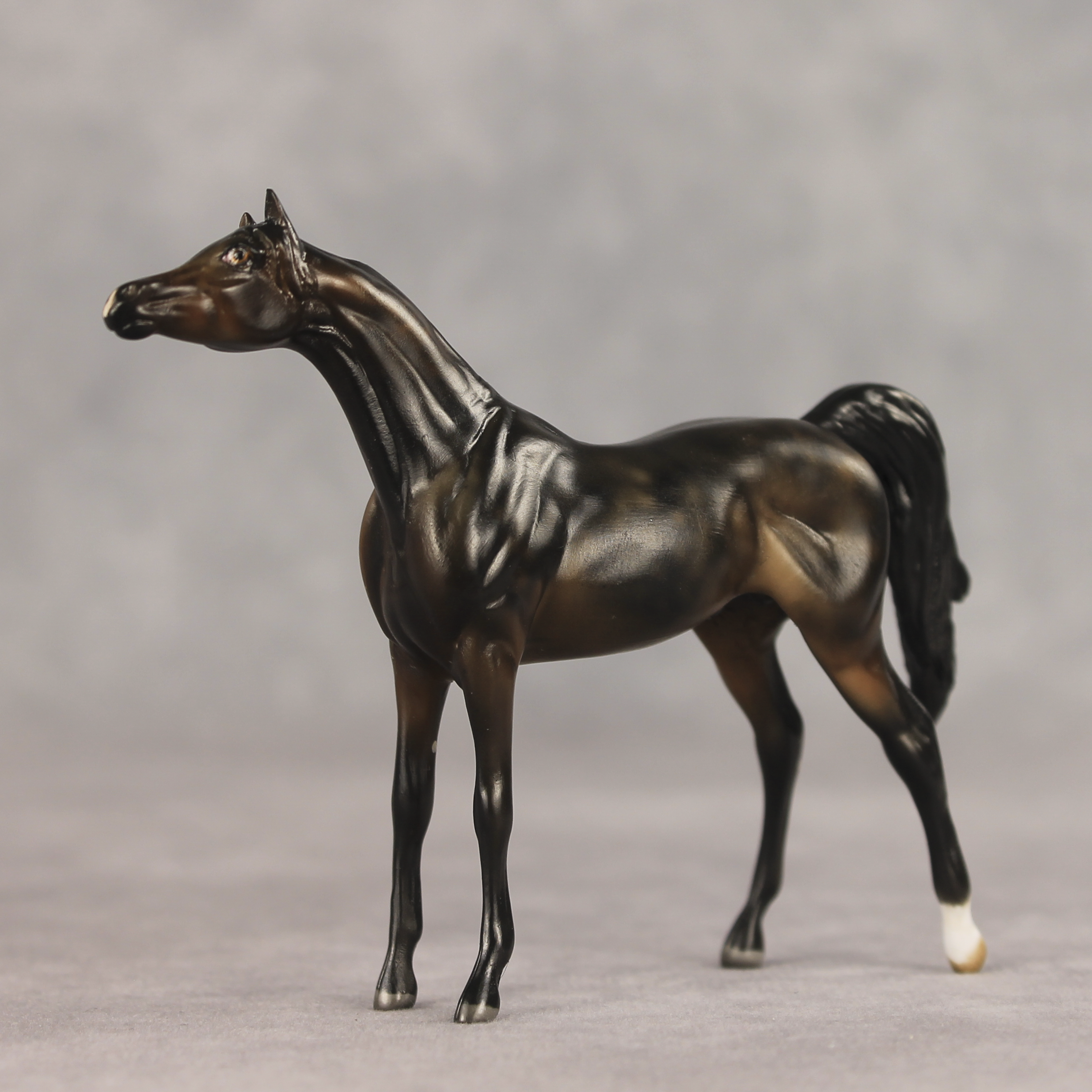Hickory LE-5 Chip Arabian by Julie Keim May $99 Chips