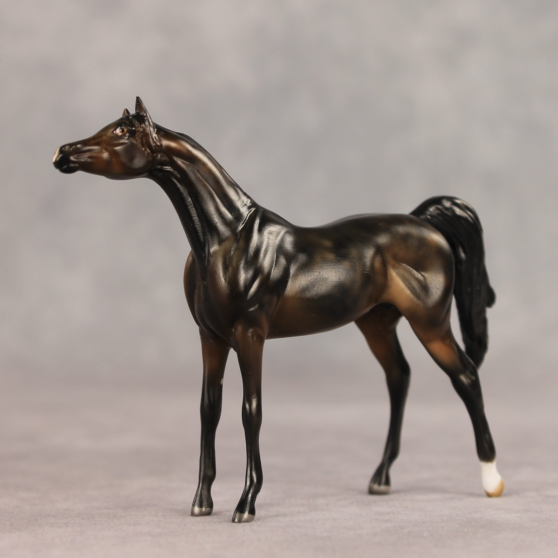 Hickory LE-5 Chip Arabian by Julie Keim May $99 Chips
