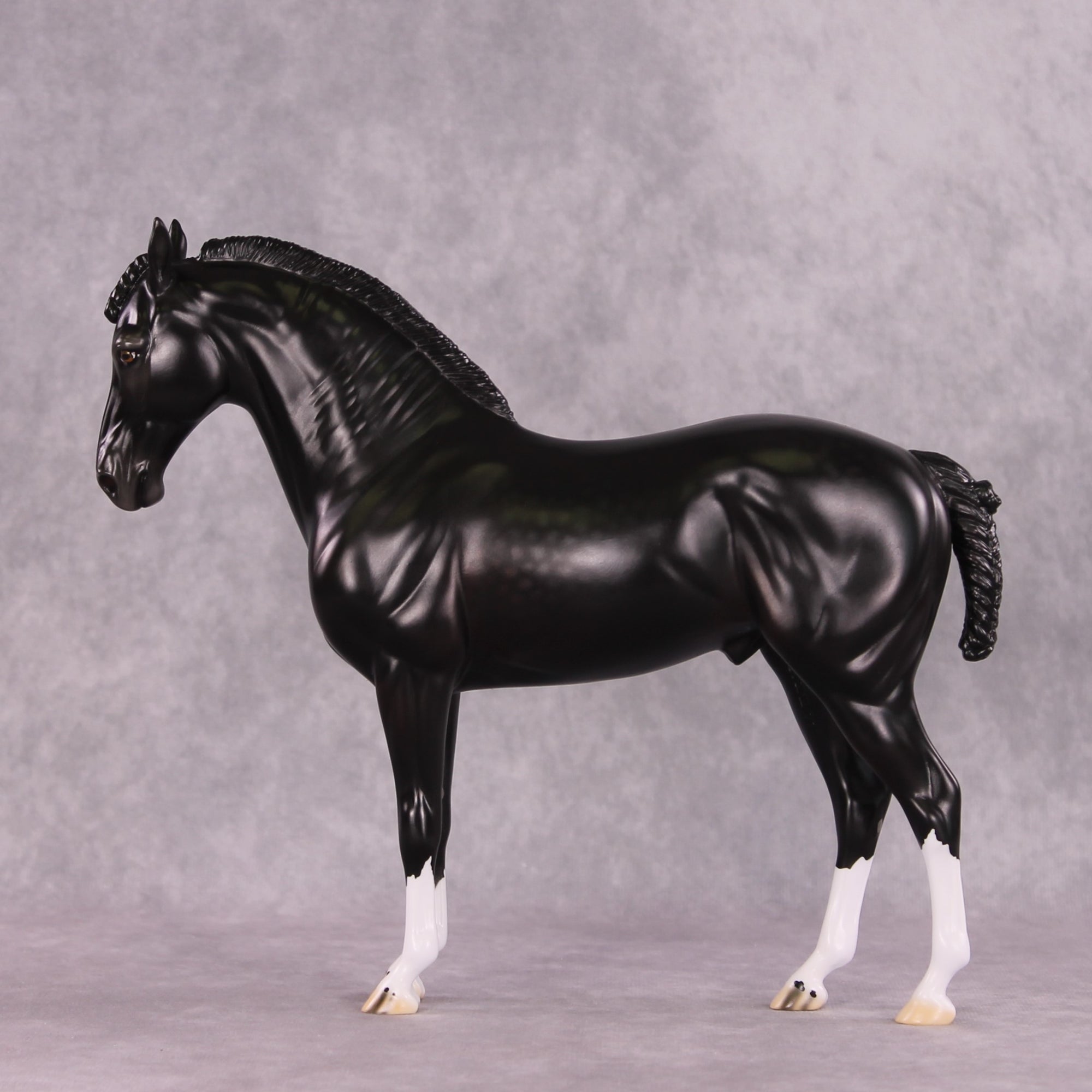 “Petruchio” LE-15  FCM Andalusian By Ellen Robbins CL25