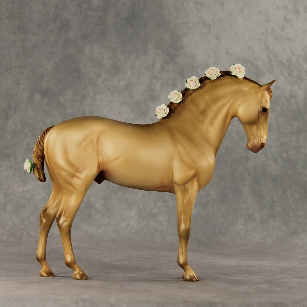 Corazon Dorado LE-15 FCM Andalusian by Ashley Palmer VV26