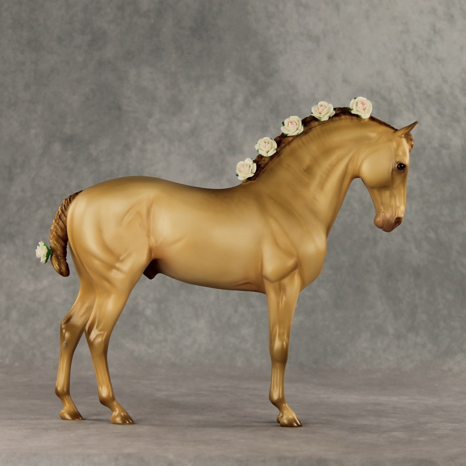 Corazon Dorado LE-15 FCM Andalusian by Ashley Palmer VV26