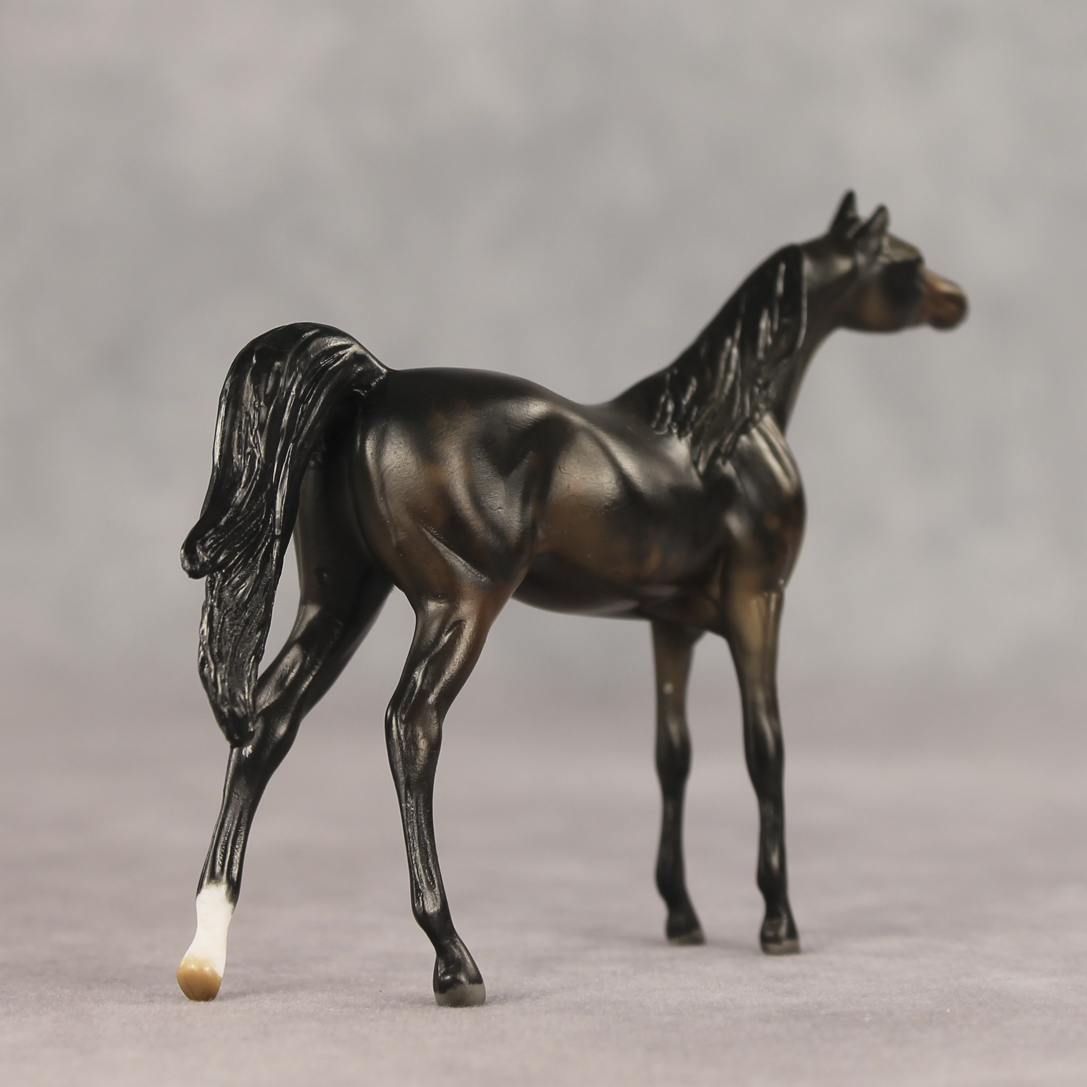 Hickory LE-5 Chip Arabian by Julie Keim May $99 Chips