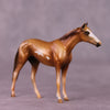 Amos OOAK Thoroughbred Chip by Kike Duarte EQ25