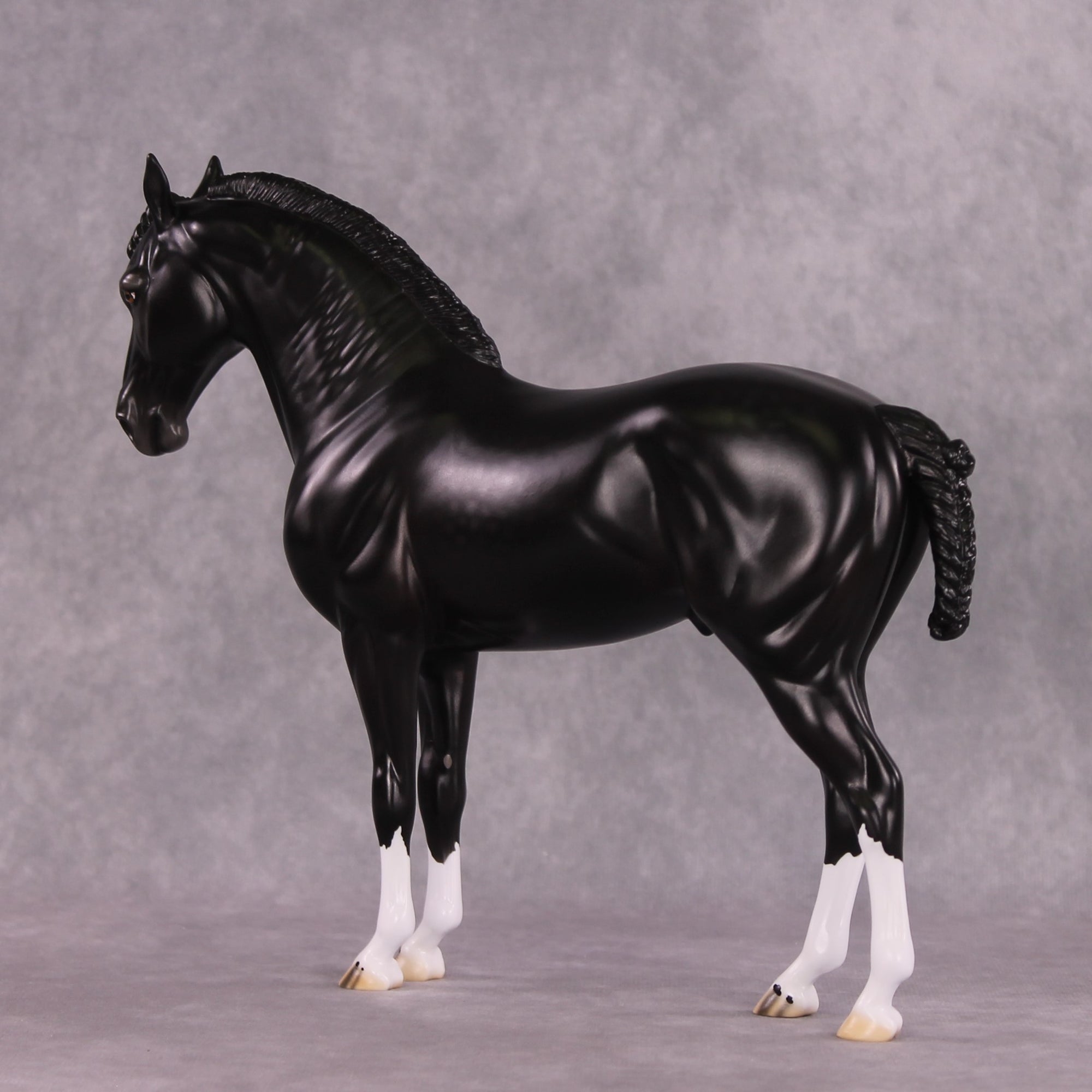 “Petruchio” LE-15  FCM Andalusian By Ellen Robbins CL25