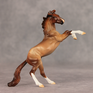 Aspen LE-5 Chip Mustang by Julie Keim May $99 Chips