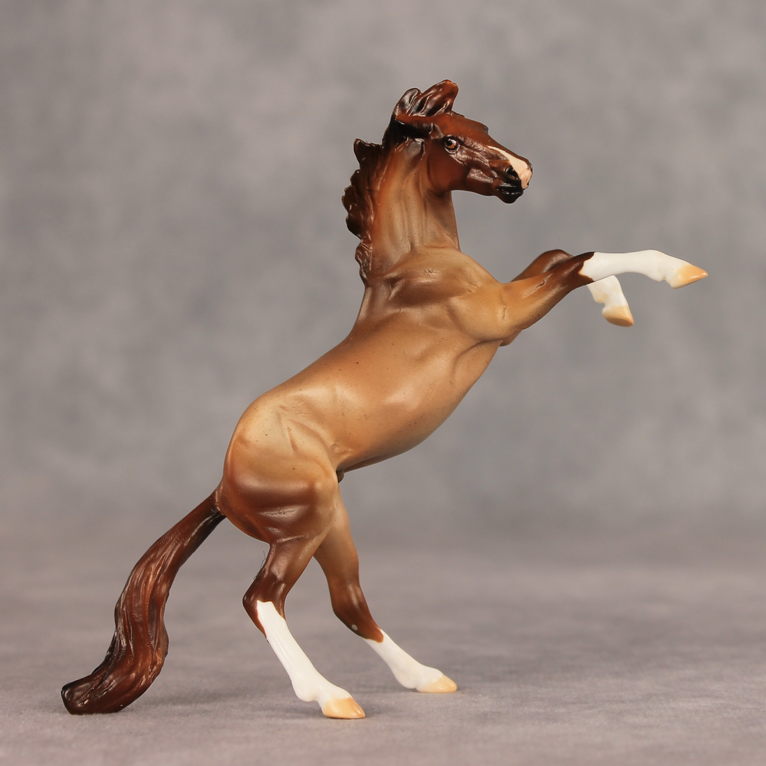 Aspen LE-5 Chip Mustang by Julie Keim May $99 Chips