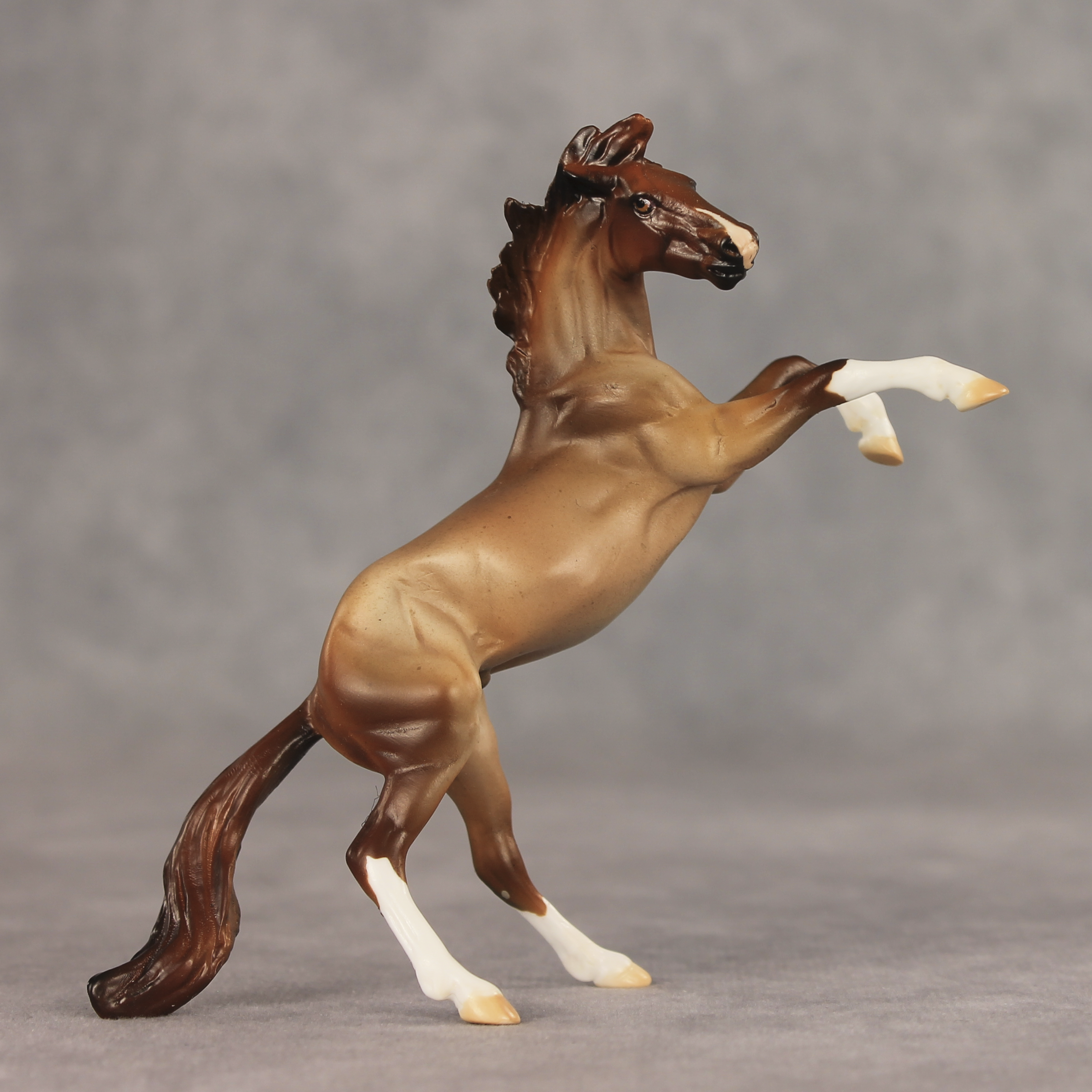 Aspen LE-5 Chip Mustang by Julie Keim May $99 Chips